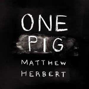 One pig